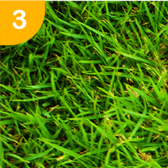 人気のサービス3